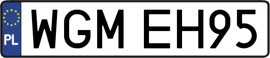WGMEH95