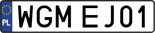 WGMEJ01