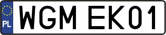 WGMEK01