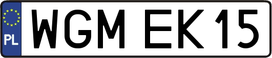 WGMEK15