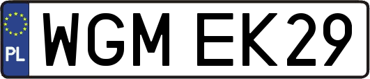 WGMEK29