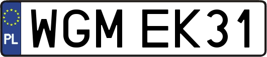 WGMEK31