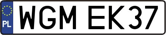 WGMEK37