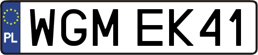 WGMEK41