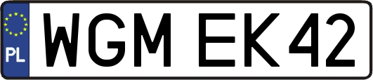 WGMEK42