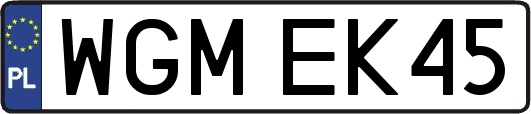WGMEK45