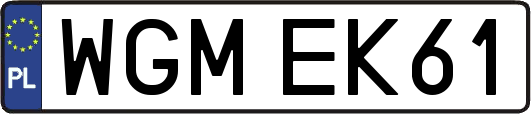 WGMEK61