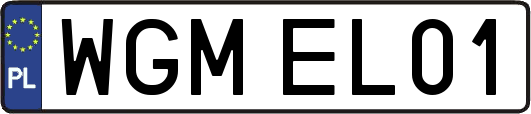 WGMEL01