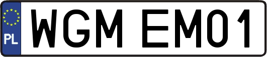 WGMEM01