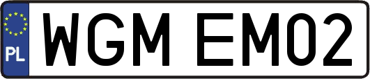 WGMEM02