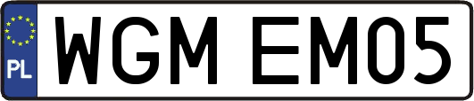 WGMEM05