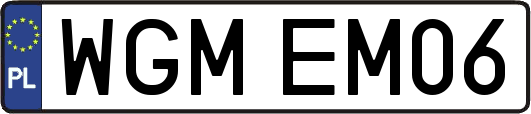 WGMEM06