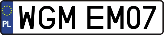WGMEM07