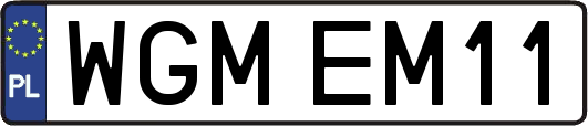 WGMEM11