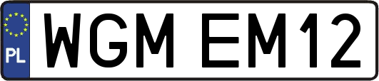 WGMEM12