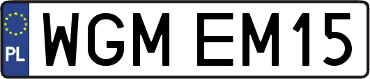 WGMEM15