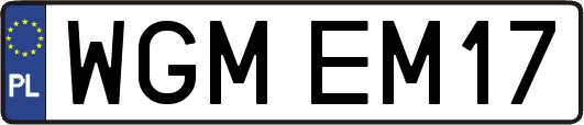 WGMEM17