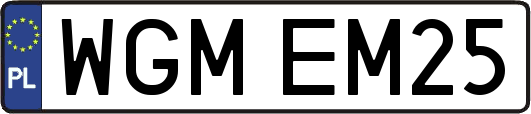 WGMEM25