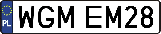 WGMEM28