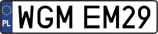 WGMEM29