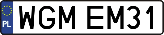 WGMEM31