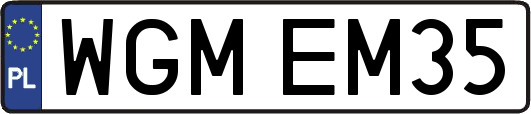 WGMEM35