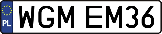 WGMEM36