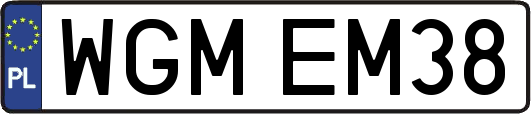 WGMEM38