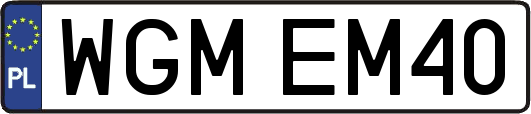 WGMEM40