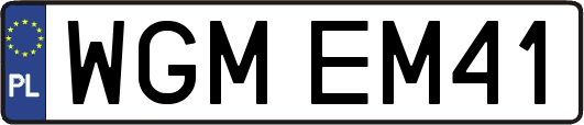 WGMEM41