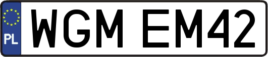 WGMEM42