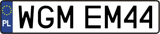 WGMEM44