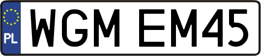 WGMEM45
