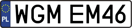WGMEM46