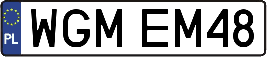 WGMEM48