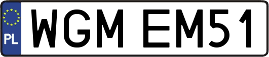 WGMEM51