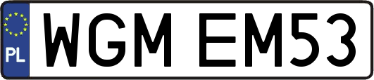 WGMEM53