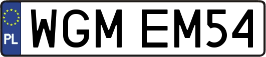 WGMEM54