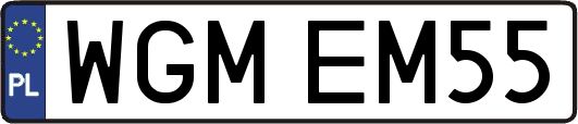 WGMEM55
