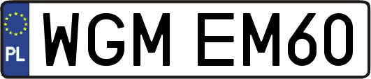 WGMEM60