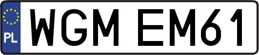 WGMEM61