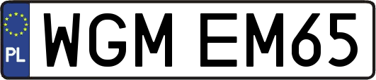 WGMEM65
