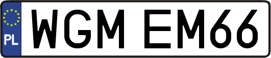 WGMEM66