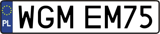 WGMEM75