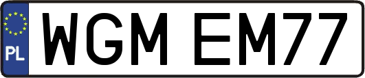 WGMEM77