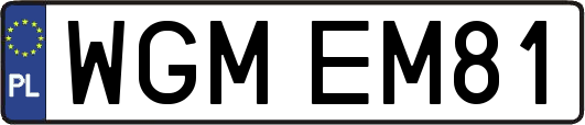 WGMEM81