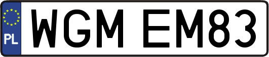 WGMEM83