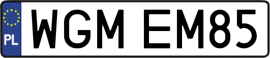 WGMEM85