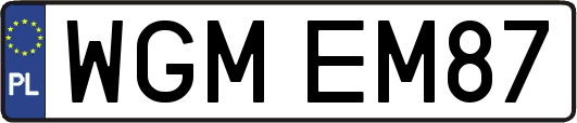 WGMEM87