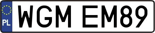 WGMEM89